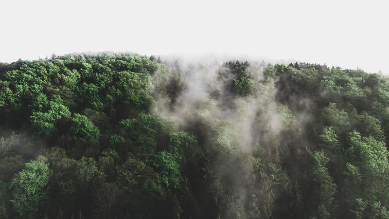 Rivendell